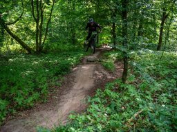 20250719_13_26_31_trailsurfer_dsc_4506