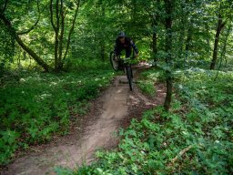 20250719_13_26_31_trailsurfer_dsc_4507