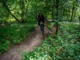 20250719_13_26_31_trailsurfer_dsc_4508