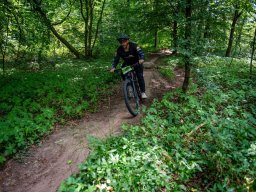 20250719_13_26_31_trailsurfer_dsc_4509