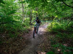 20250719_13_28_36_trailsurfer_dsc_4514