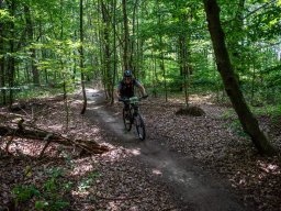 20250719_13_29_12_trailsurfer_dsc_4516