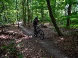 20250719_13_29_12_trailsurfer_dsc_4517