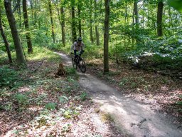 20250719_13_30_02_trailsurfer_dsc_4521