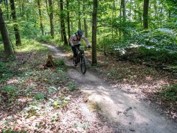 20250719_13_30_03_trailsurfer_dsc_4522