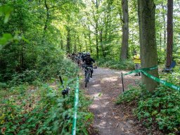 20250719_13_30_48_trailsurfer_dsc_4526
