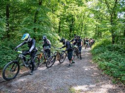 20250719_13_31_02_trailsurfer_dsc_4531
