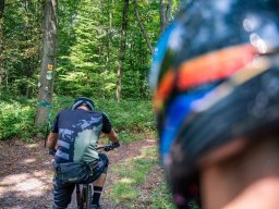 20250719_13_33_11_trailsurfer_dsc_4554