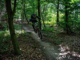 20250719_13_34_35_trailsurfer_dsc_4559