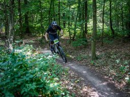 20250719_13_35_25_trailsurfer_dsc_4561