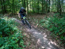 20250719_13_35_25_trailsurfer_dsc_4563