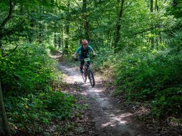 20250719_13_36_18_trailsurfer_dsc_4565