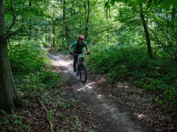 20250719_13_36_18_trailsurfer_dsc_4567
