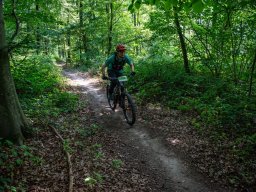 20250719_13_36_18_trailsurfer_dsc_4568