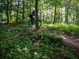20250719_13_37_06_trailsurfer_dsc_4570