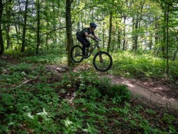 20250719_13_37_07_trailsurfer_dsc_4571