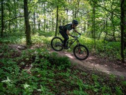 20250719_13_37_07_trailsurfer_dsc_4572
