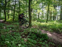 20250719_13_37_48_trailsurfer_dsc_4573
