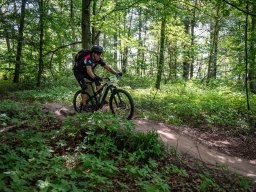 20250719_13_37_48_trailsurfer_dsc_4574