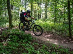 20250719_13_37_49_trailsurfer_dsc_4575