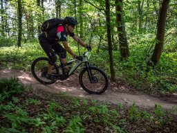 20250719_13_37_49_trailsurfer_dsc_4576
