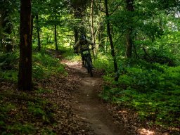 20250719_13_38_38_trailsurfer_dsc_4578