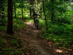 20250719_13_38_39_trailsurfer_dsc_4579