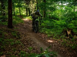 20250719_13_38_39_trailsurfer_dsc_4581