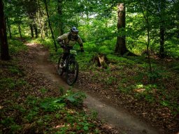 20250719_13_38_40_trailsurfer_dsc_4583