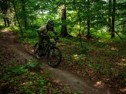 20250719_13_38_40_trailsurfer_dsc_4584