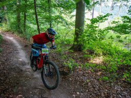 20250719_13_39_35_trailsurfer_dsc_4591