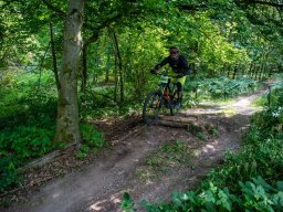 20250719_13_40_51_trailsurfer_dsc_4595