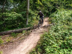 20250719_13_42_01_trailsurfer_dsc_4598