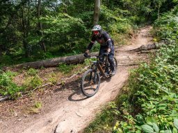 20250719_13_42_01_trailsurfer_dsc_4600