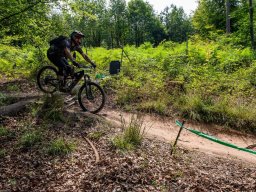 20250719_13_42_41_trailsurfer_dsc_4602