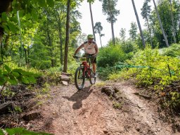 20250719_13_48_00_trailsurfer_dsc_4647