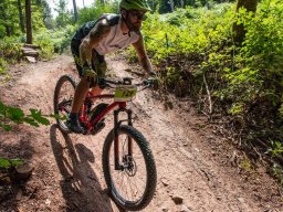 20250719_13_48_01_trailsurfer_dsc_4650