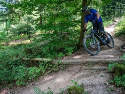 20250719_13_48_35_trailsurfer_dsc_4652