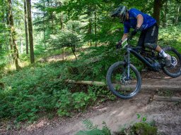 20250719_13_48_35_trailsurfer_dsc_4653