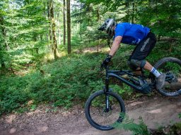 20250719_13_48_35_trailsurfer_dsc_4654