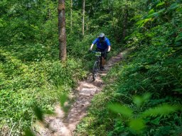 20250719_13_51_58_trailsurfer_dsc_4664