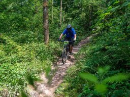 20250719_13_51_58_trailsurfer_dsc_4665