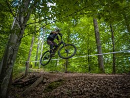 pxl_20250719_134440407.mp_ed1